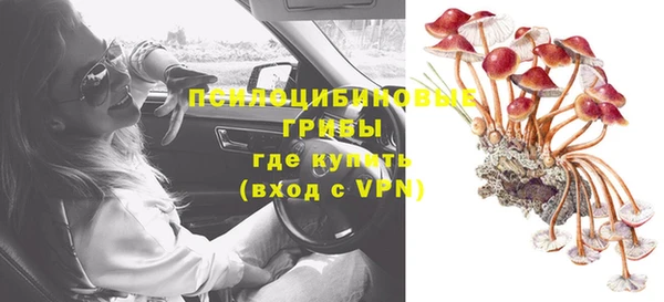 мяу мяу мука Алексеевка