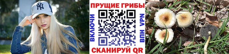 Псилоцибиновые грибы Magic Shrooms  маркетплейс клад  Переславль-Залесский 