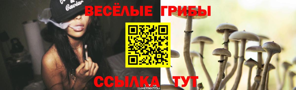 Галлюциногенные грибы GOLDEN TEACHER  Галлюциногенные грибы MAGIC MUSHROOMS  Вход с VPN  Переславль-Залесский 